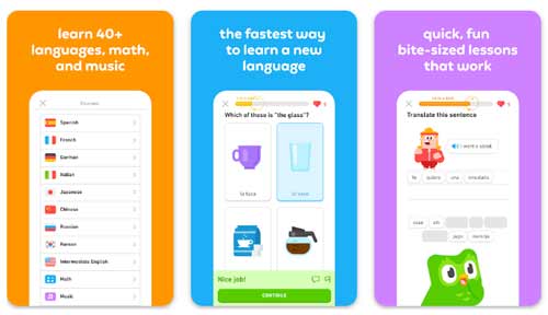 آموزش زبان Duolingo دولینگو