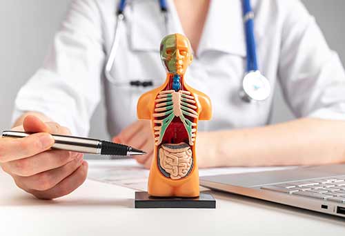 اخذ پذیرش پزشکی (Medicine)