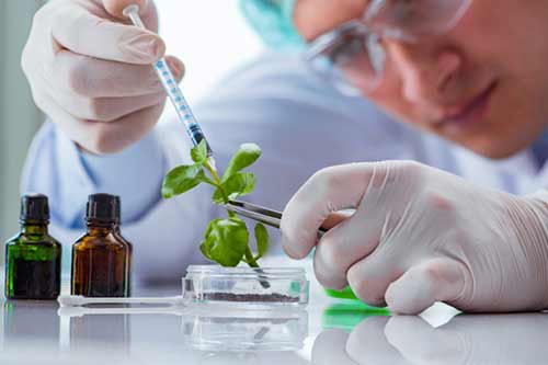 اخذ پذیرش زیستفناوری (Biotechnology):