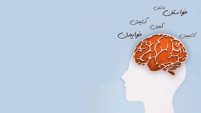 سایر چگونه فارسی را حفظ کنیم؟ و 5 روش حفظ معنی کلمات فارسی