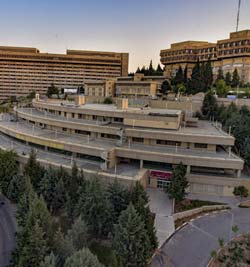 دانشگاه شیراز